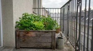 Hochbeet auf dem Balkon: Aufbau, Gewicht, Bepflanzung