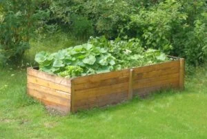 Ein bepflanztes Hochbeet aus Holzbohlen im Garten.